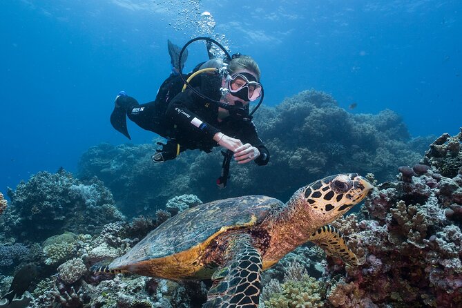 Coral Sea Dreaming Overnight Dive, Snorkel and Sail - Day one: Cairns to the Great Barrier Reef