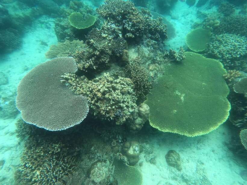 CORON:ISLAND TOUR A Lakes and Snorkeling with Corals - What happened to Atuayan Beach and Secret Lagoon?