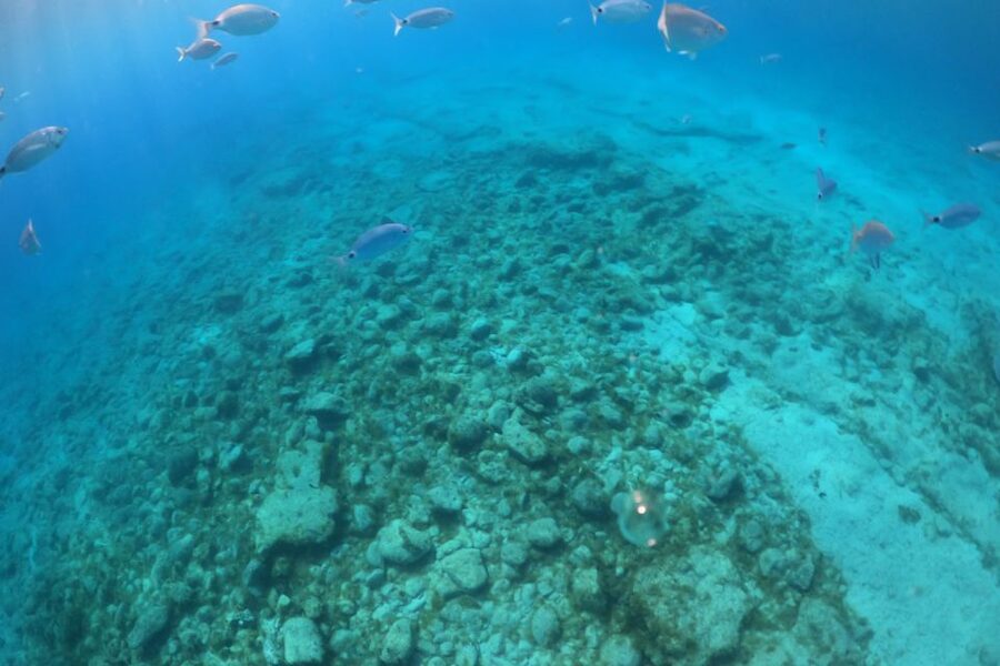 Corralejo: Snorkeling on Lobos Island & Return Ferry Ticket - The 10-minute cruise to El Puertito