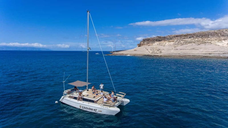 Costa Adeje: Catamaran Tour, Snorkelling, Snacks & Drinks - Watching for dolphins, turtles, and whales