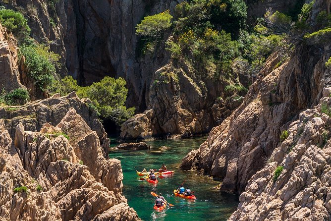 Costa Brava Kayaking and Snorkeling Small Group Tour with Lunch - Who should book this experience