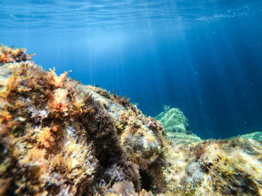 Costa Brava: Sea Caves Kayaking and Snorkeling Tour - The 20-minute snorkel stop