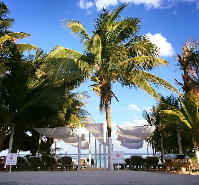 Costa Maya: Beach with Open Bar, Massage, Lunch & Snorkeling - Open bar with purified ice and local beer