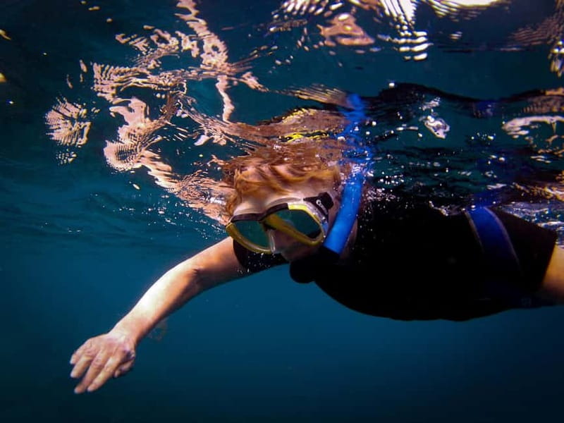 Costa Teguise: Guided 2-hour Snorkeling Tour for all levels - Booking, cancellation, and language choices