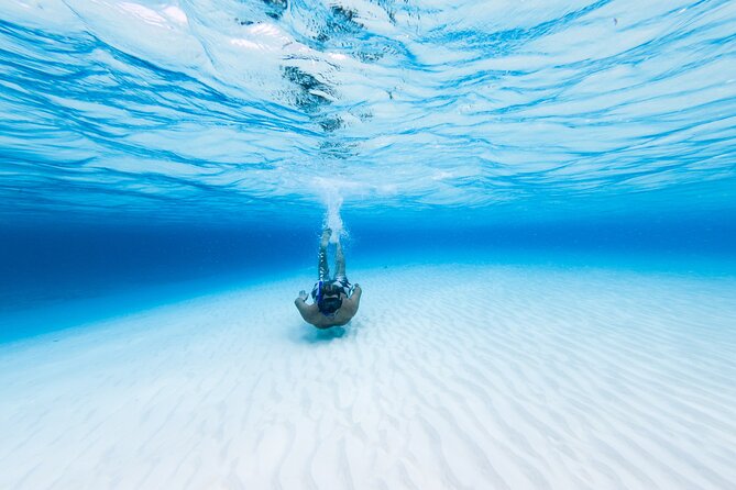 Cozumel Catamaran Snorkeling Tour & lunch® - A six-hour sampler of Cozumel’s best-known water stops