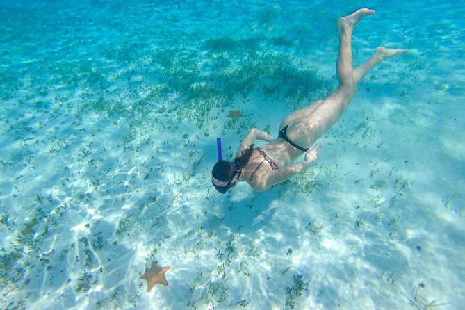 Cozumel Catamaran Snorkeling Tour & lunch® - El Cielo and El Cielito: stars, sand, and shallow water