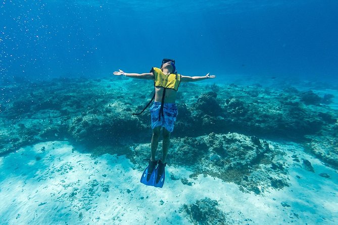Cozumel Catamaran Snorkeling Tour & Lunch (Hotel Pick Up) - Snorkeling Colombia and Palancar reefs