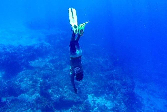 Cozumel Catamaran Snorkeling Tour & Lunch (Hotel Pick Up) - Lunch comes with regional Mexican dishes and drinks