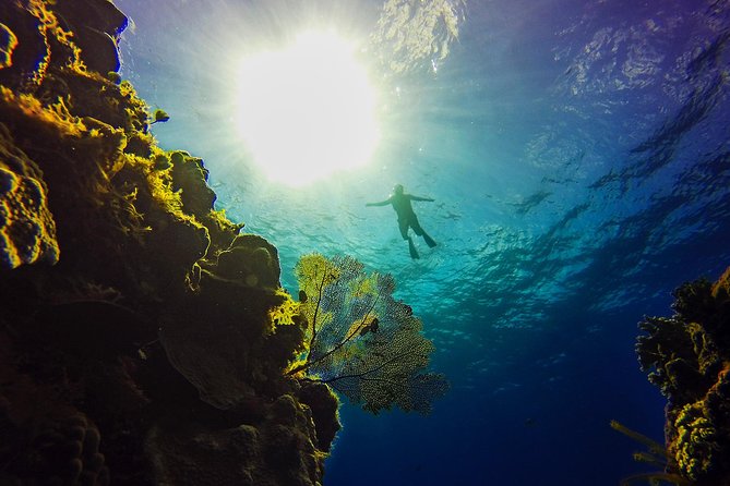 Cozumel Catamaran Snorkeling Tour & Lunch (Hotel Pick Up) - What to pack for this water-heavy day