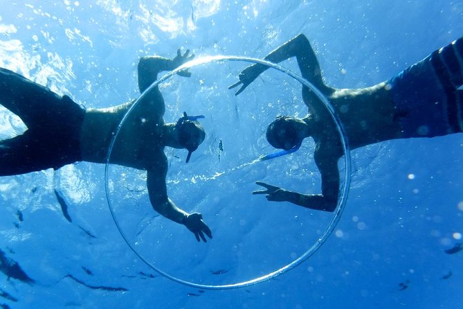 Cozumel Catamaran Snorkeling Tour & lunch - Preparing for the Palancar Reef swim