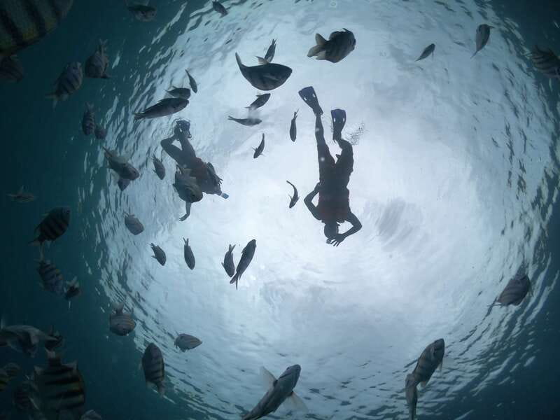 Cozumel: Clear Boat Ride and Snorkeling Trip - Drinks on deck and what the price covers