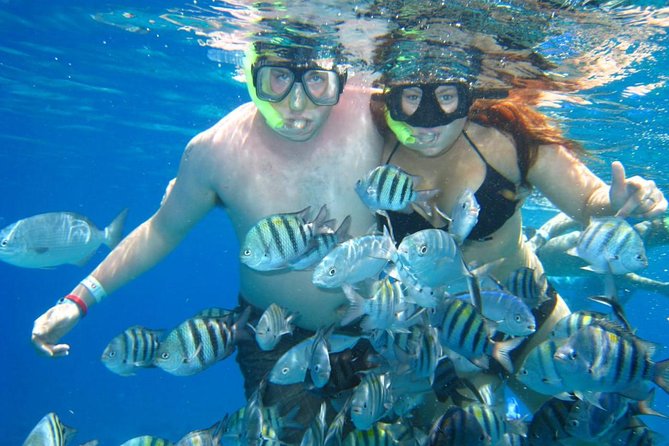 Cozumel Coral Reef Snorkeling by Glass Bottom Boat with Guide - Equipment, drinks, and reef-friendly preparation