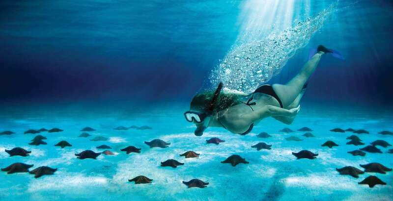 Cozumel: El Cielo & Palancar Snorkel with Open Bar & Ceviche - Setting out from the ferry pier