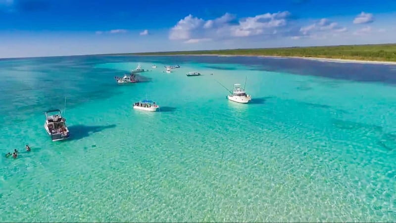 Cozumel: El Cielo & Palancar Snorkel with Open Bar & Ceviche - El Cielo and its shallow starfish water