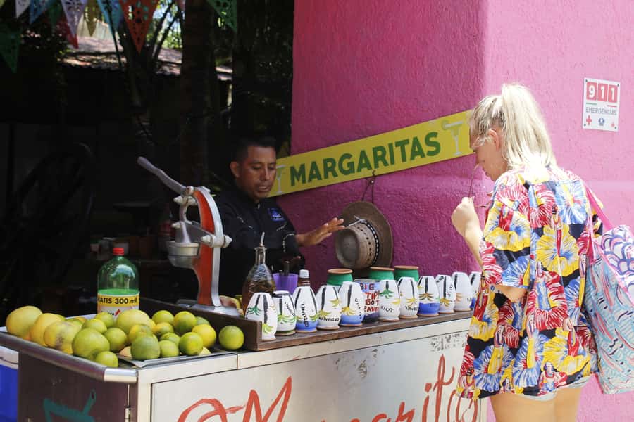 Cozumel: Official Chankanaab Park and Snorkeling with Lunch - Sea lion shows and other park attractions