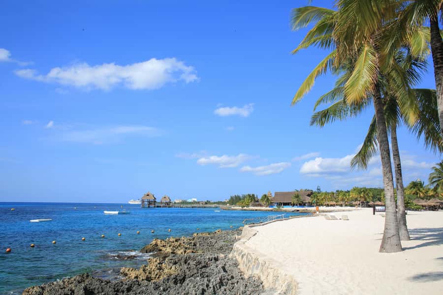 Cozumel: Official Chankanaab Park and Snorkeling with Lunch - How the three-hour visit feels