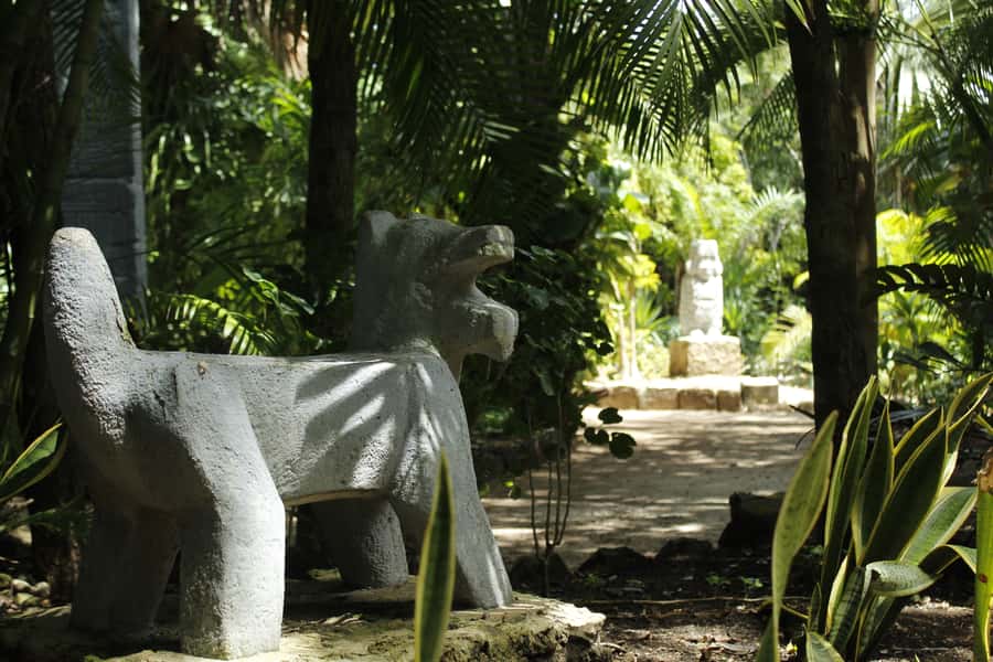 Cozumel: Official Chankanaab Park and Snorkeling with Lunch - Who will enjoy this Cozumel package most