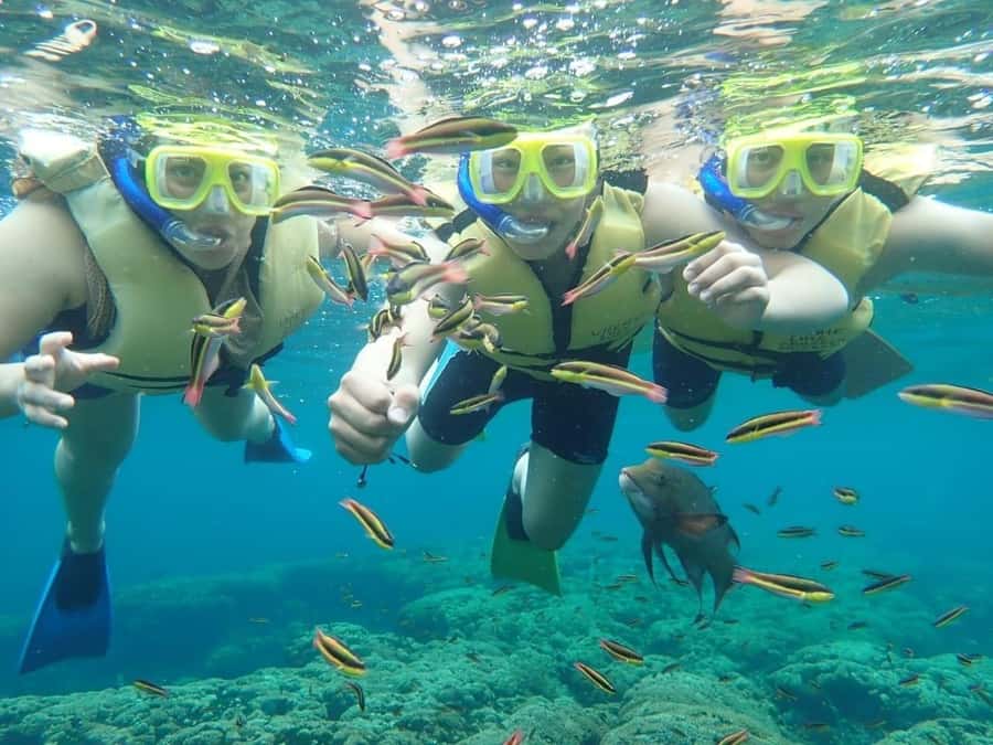 Cozumel: Palancar, Columbia and Cielo Reefs Snorkeling Tour - Drinks, ceviche, and a shaded ride home