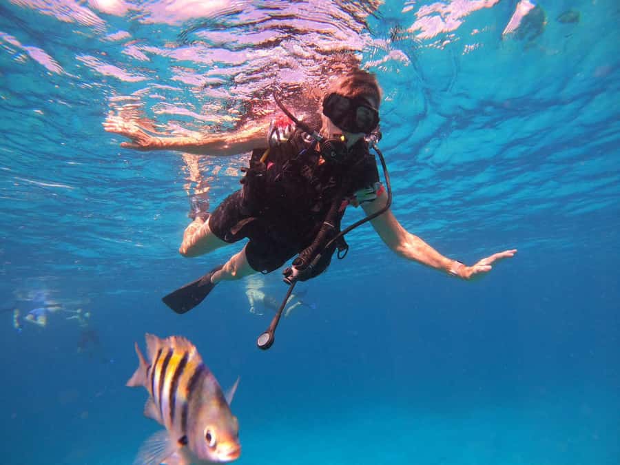 Cozumel: Palancar, Columbia and Cielo Reefs Snorkeling Tour - What the $52 price really covers