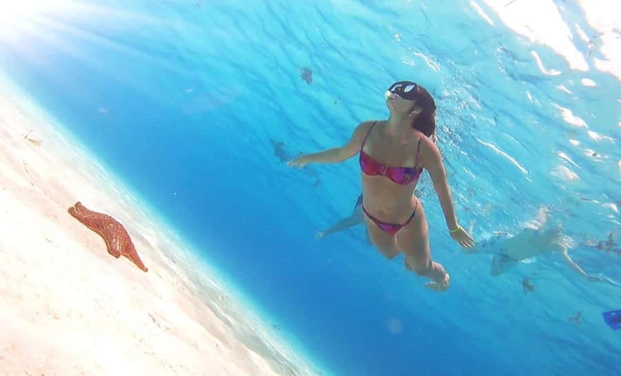Cozumel: Palancar, Columbia and Cielo Reefs Snorkeling Tour - Who should book this Cozumel snorkeling tour