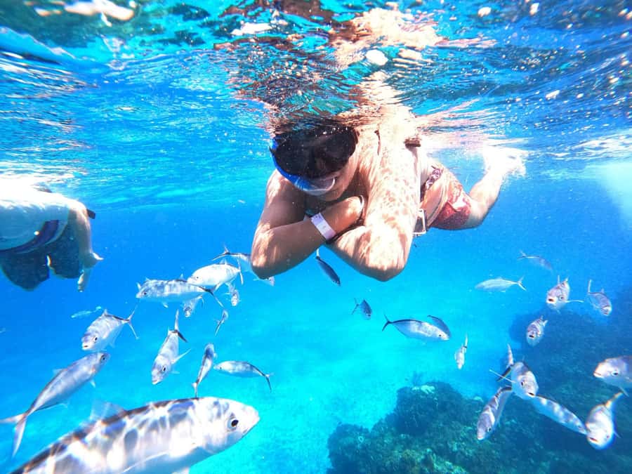 Cozumel: Palancar, Columbia and Cielo Reefs Snorkeling Tour - Practical tips for a smoother outing