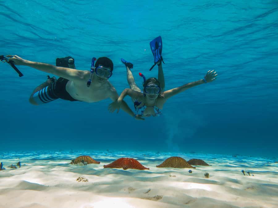 Cozumel: Palancar, Columbia and Cielo Reefs Snorkeling Tour - Three reef stops along Cozumel’s southwest coast
