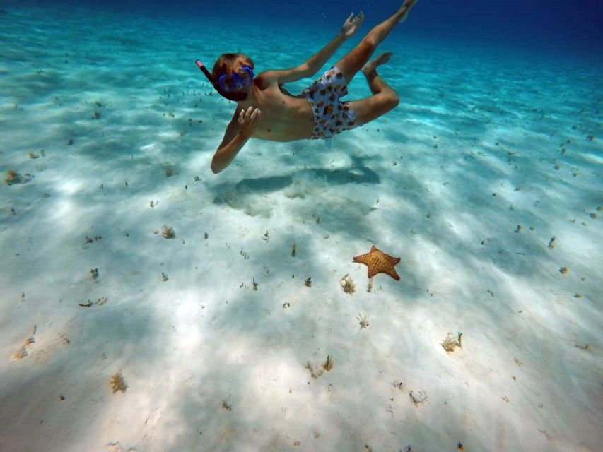 Cozumel: Private Charter Boat and Snorkel Day Trip - Why the private format affects the value