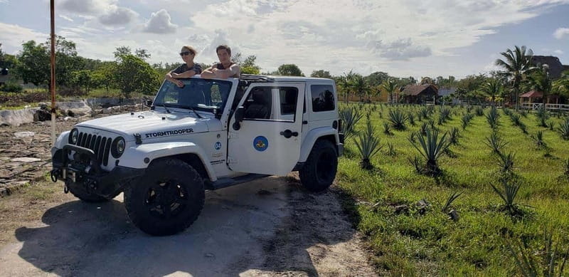 Cozumel Private Jeep Tour with Lunch and Snorkeling - Guide quality and the private-group advantage