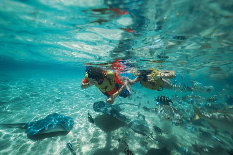 Cozumel: Snorkel and Swim with Stingrays - Key points to know before you go