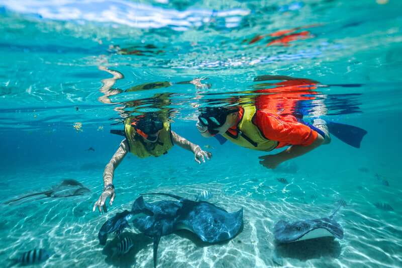 Cozumel: Snorkel and Swim with Stingrays - Snorkeling with stingrays, fish, and nurse sharks