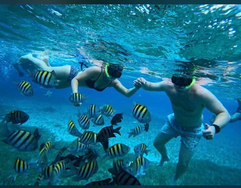 Cozumel: snorkeling on reefs + visit to "El Cielo" - Five things to know before booking