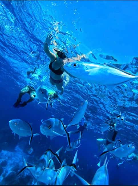 Cozumel: snorkeling on reefs + visit to "El Cielo" - Starting at Cozumel’s Fiscal Pier