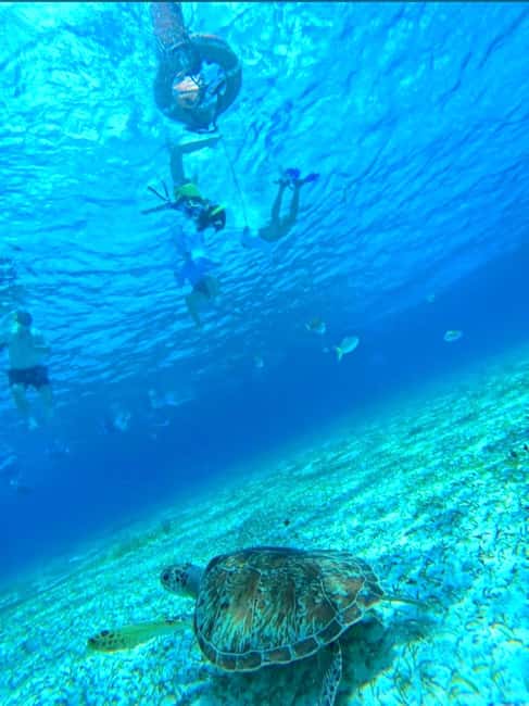 Cozumel: snorkeling on reefs + visit to "El Cielo" - Palancar Reef, coral walls and quick fish sightings