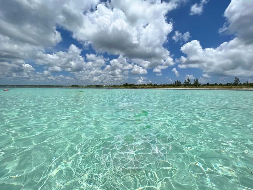 Cozumel: snorkeling on reefs + visit to "El Cielo" - Ceviche, fruit, and drinks back on the boat