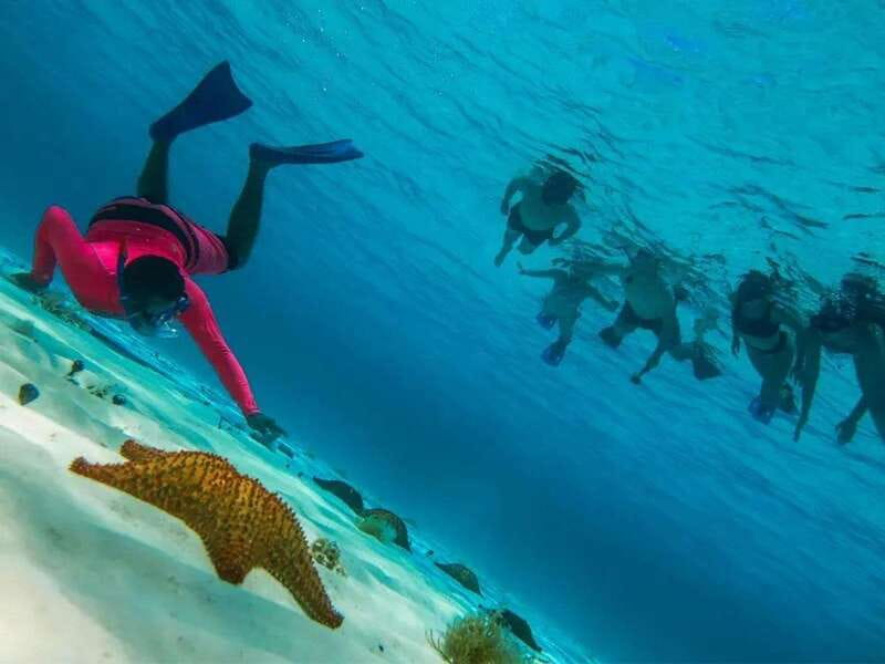 Cozumel: snorkeling on reefs + visit to "El Cielo" - Is 850 pesos a good value?
