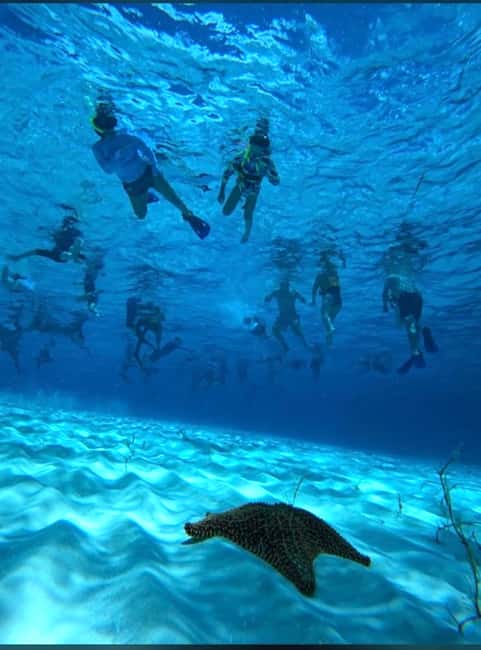 Cozumel: snorkeling on reefs + visit to "El Cielo" - The short boat ride south