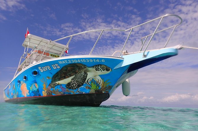 Cozumel Snorkeling Tour at Palancar & Colombia Reefs and El Cielo - Palancar Reef: fish, coral, and larger sightings