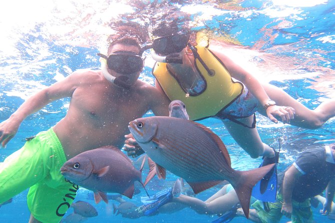 Cozumel Snorkeling Tour at Palancar & Colombia Reefs and El Cielo - El Cielo and El Cielito: starfish, stingrays, and shallow water