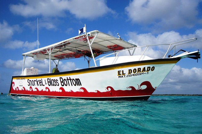 Cozumel Snorkeling Tour at Palancar & Colombia Reefs and El Cielo - Practical preparation for the 1 p.m. departure