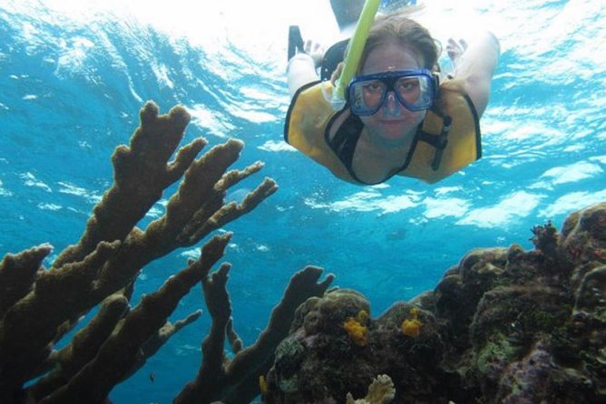 Cozumel Snorkeling Tour: Palancar, Columbia and El Cielo Reefs - Why this Cozumel trip works well