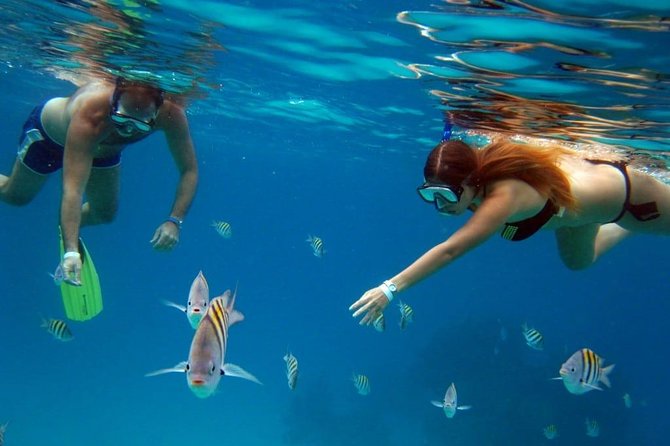 Cozumel Snorkeling Tour: Palancar, Columbia and El Cielo Reefs - Playa El Cielo and the starfish stop