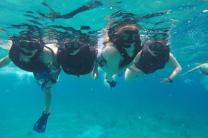 Cozumel Snorkeling Tour: Palancar, Columbia and El Cielo Reefs - Who should book this tour