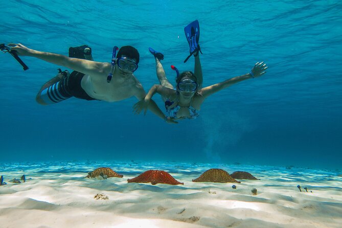 Cozumel Snorkeling Tour: Palancar, Columbia and El Cielo Reefs - Getting to Marina Cozumel ASIPONA