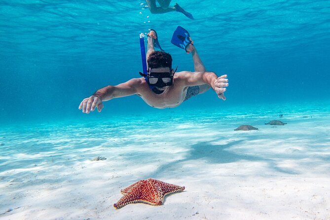 Cozumel Starfish and Tropical Reef Snorkeling by Powerboat with Lunch - From Cancun hotels to Cozumel’s reef