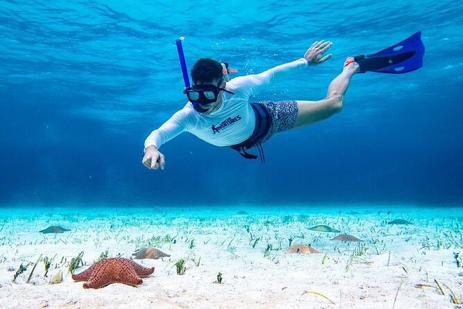 Cozumel Starfish and Tropical Reef Snorkeling by Powerboat with Lunch - Who will enjoy this Cozumel outing