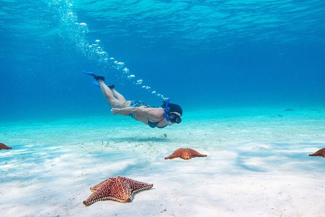 Cozumel Starfish and Tropical Reef Snorkeling by Powerboat with Lunch - Practical details that can save you trouble