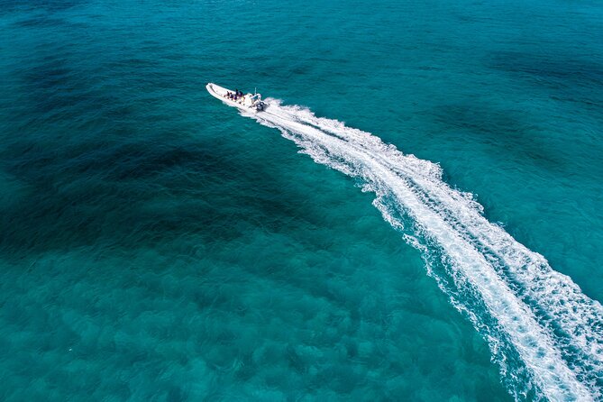 Cozumel Starfish and Tropical Reef Snorkeling by Powerboat with Lunch - Three reef stops with different depths