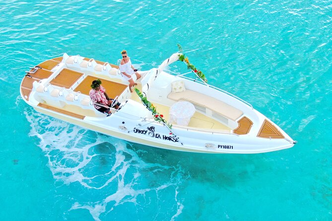 Crazyseahorseborabora Comfortable boat , sensational snorkeling . - Meeting at the TAXI sign at 8:30 a.m.