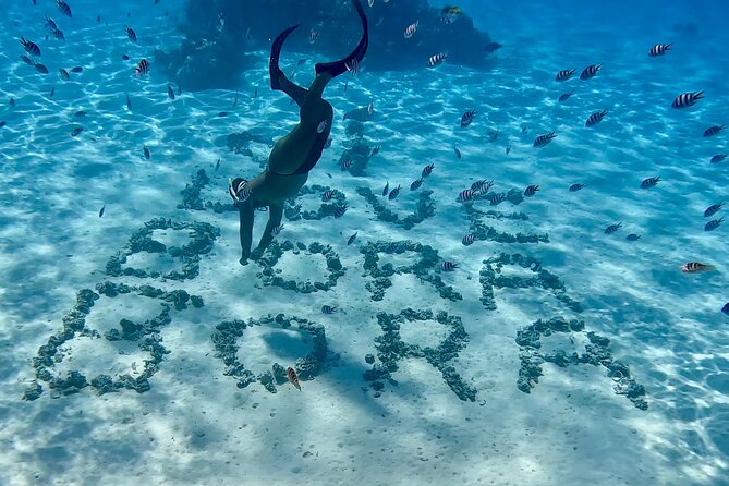 Crazyseahorseborabora Comfortable boat , sensational snorkeling . - A possible circuit around Bora Bora