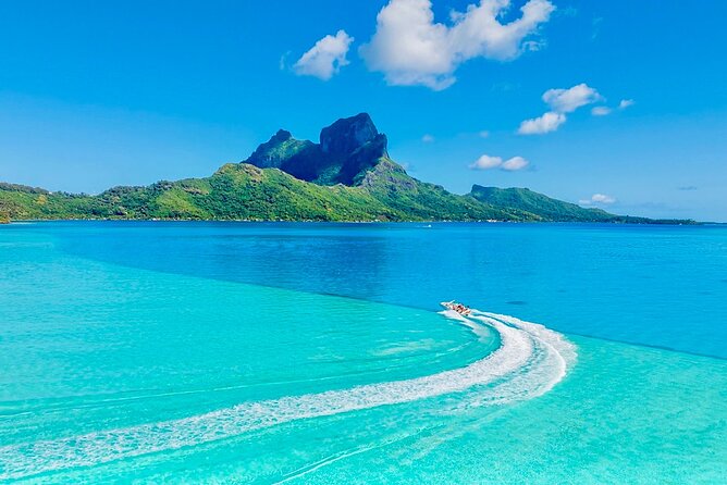 Crazyseahorseborabora Comfortable boat , sensational snorkeling . - What the $170 price really covers